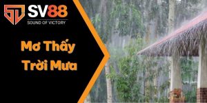 giấc mơ thấy trời mưa