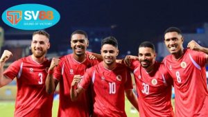 thong-tin-luc-luong-cahn-vs-ca-tp-hcm